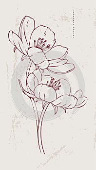 Poster in vintage Chinese style. Illustration with a red flower on a light background.