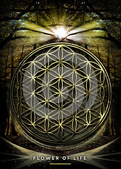 Poster, Wallpaper with Flower Of Life in beautiful, mystical forest landscape