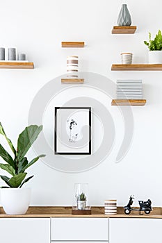 Poster on white wall above wooden cupboard with plant in simple