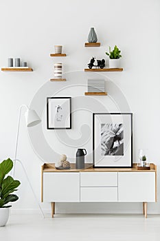 Poster on wooden cupboard in white living room interior with lam