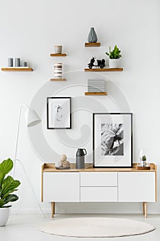 Poster on wooden cupboard in white living room interior with plant and round rug. Real photo
