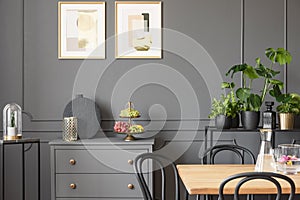 Posters above grey cabinet in dark dining room interior with plants and wooden table. Real photo