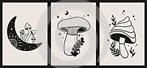 Posters for decoration and design with mushrooms, plants, crescent moon.