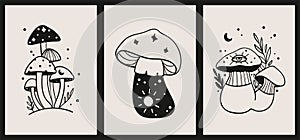 Posters for decoration and design with mushrooms, plants, crescent moon.