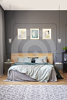 Posters on grey wall with molding above wooden bed in modern bed