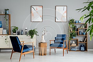 Posters and plants in bright living room interior with navy blue armchairs and flowers. Real photo