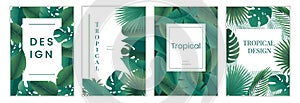 Posters with tropical leaves. Banners with exotic jungle foliage, banana palm leaves . Vector set
