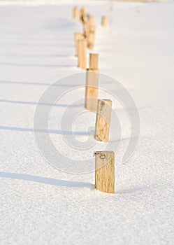 Postes in the snow photo