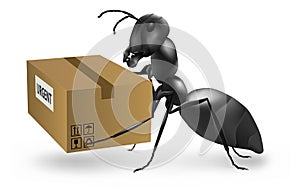 Postman mailman ant deliver urgent package