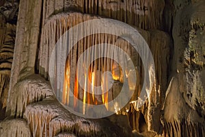 Postojna cave, Slovenia photo