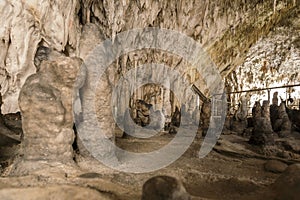 Postojna grotte