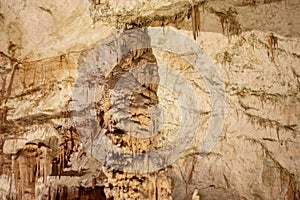 Postojnska jama | Cave | Grotte