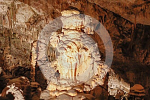Postojnska jama | Cave | Grotte