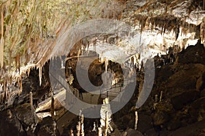 Postonja Jama Caves -- Slovenia