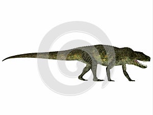 Postosuchus Reptile Profile