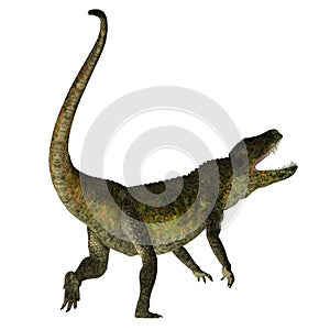 Postosuchus Reptile Tail