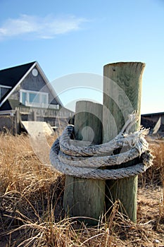 Posts on Beach