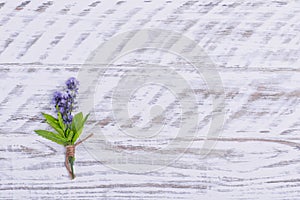 Posy of lavender on wooden background