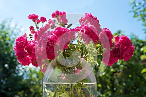 Posy with pink bush roses, in a glass vase, blurry garden background