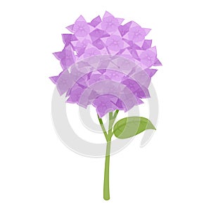 Posy plant flower icon cartoon vector. Wedding natural fashion