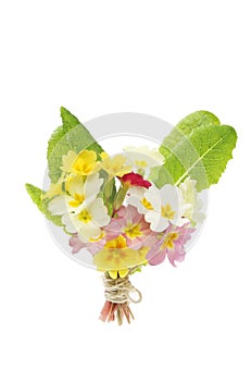 Posy of Spring flowers