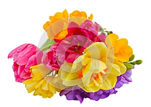 Posy of spring flowers