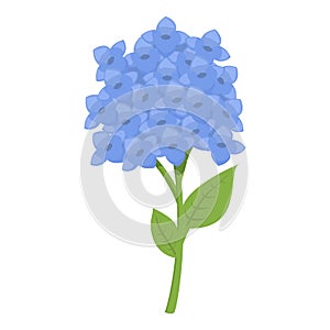 Posy style blossom icon cartoon vector. Natural perfume
