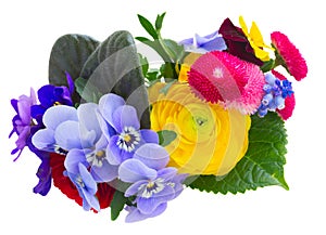 Posy of violets, pansies and ranunculus