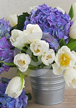 Posy of white tulips and blue hortensia flowers