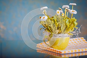 Pot of Bellis perennis