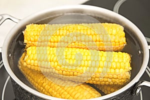 Pot with boiling fresh corn on cooktop