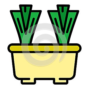 Pot chives icon color outline vector