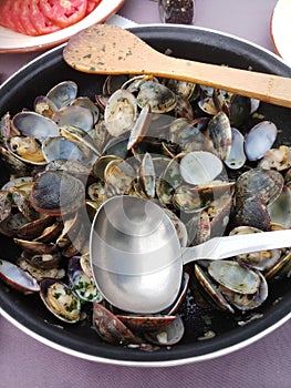 Pot of clams