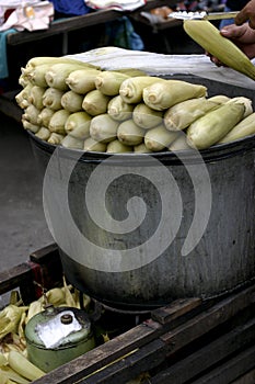 Pot of Corn on the Cob