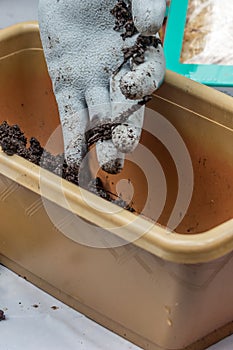 Pot with earth ready for plants