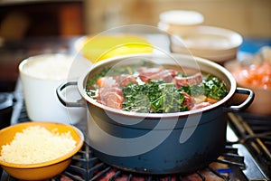 pot of feijoada on a rustic wood-fired stove, bubbling hot