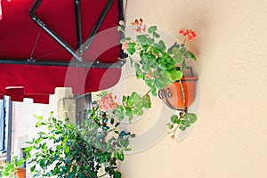 Pot of flowers adorn the walls of the house