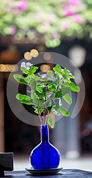 Pot of flowers at coffee shop