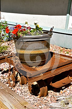 Pot of flowers perched on an old mining cart