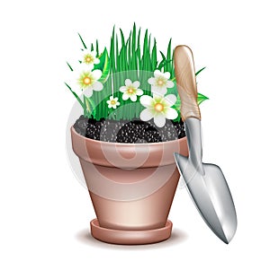 Pot with flowers and tools