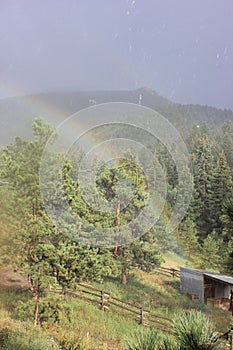 Pot of Gold in Shed