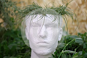 Pot for indoor plants in the shape of a head of man, that made of plaster