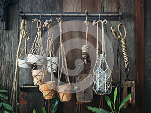 Pot Plant decoration displayed on wooden wall