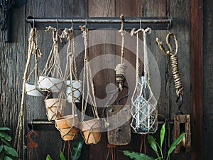 Pot Plant decoration displayed on wooden wall photo