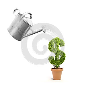 A pot plant shaped like a dollar sign