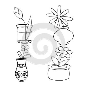 Pot plants set, vector illustration flowers in pots