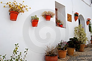 Pot plants on wall, Frigiliana, Spain. photo