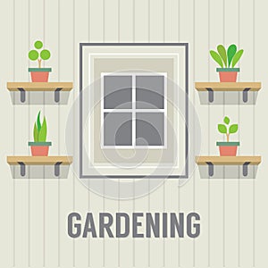 Pot Plants Beside Window Gardening Concept