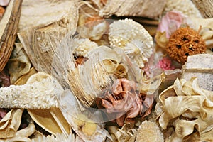 Pot Pourri