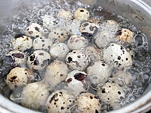 A pot of quail eggs is boiling on a gas stove